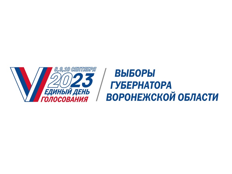 Логотип Выборной кампании 2023 года.